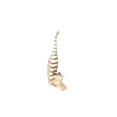 Wood Cat Stretching Cream Stripes 10 cm