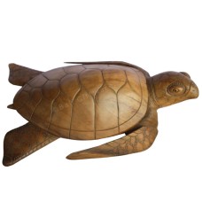 Wood Turtle Natural Brown 50 cm